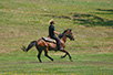 Horseman (Photo: Dragan Bosnić)